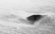 Phil Harbord - Surf